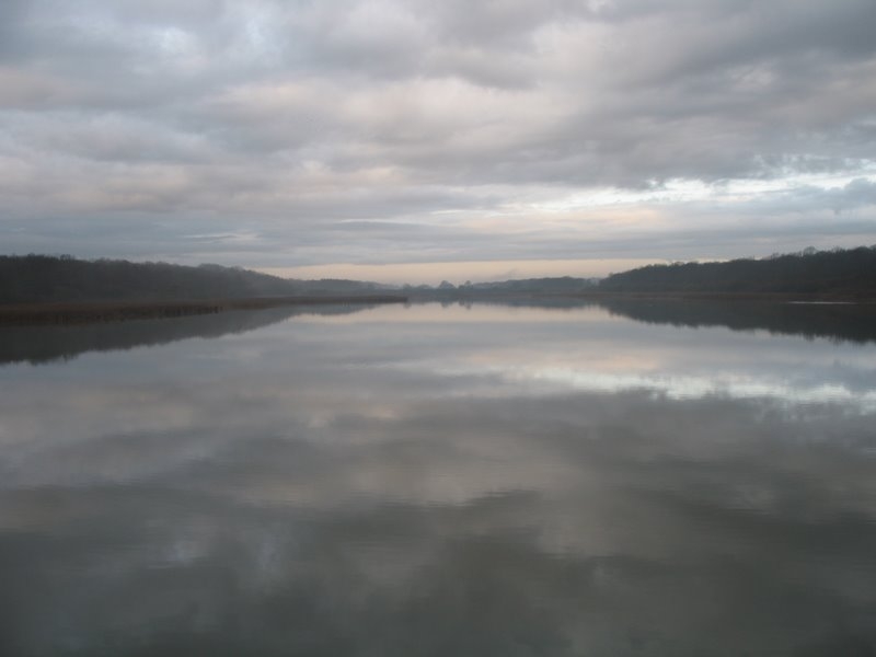 2006 12 Ornitho St Hubert 07